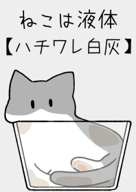 ねこは液体【ハチワレ猫-白灰】