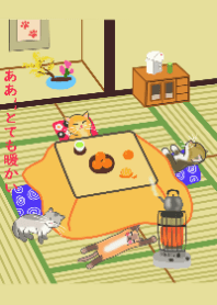 Animal Series-Cat hiding in warm table