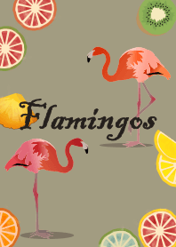 Flamingos + ice green [os]