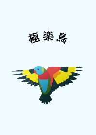 Bird of Paradise