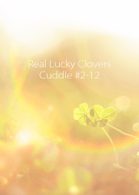 Real Lucky Clovers Cuddle #2-12