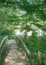 Beautiful-Bridge 28