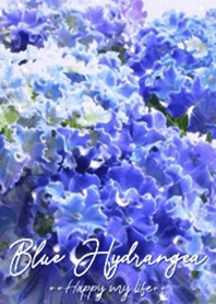 ++Blue Hydrangea++