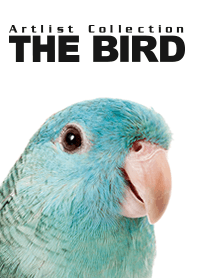 Artlist Collection THE BIRD