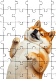 Shiba Inu dress-up2