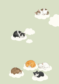 แมวนอนหลับ.8