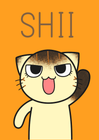 Stare cat shii