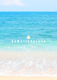 HAWAIIAN BEACH -MEKYM- 8