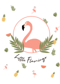 Little Flamingo