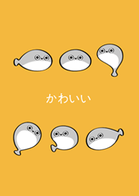 我養的薩卡班甲魚(日出黃色)