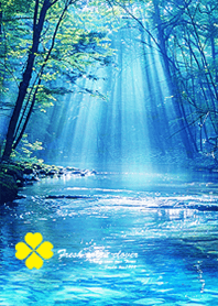 癒しの新緑4♭✨