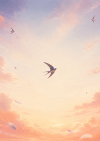 Swallow Sunset Sky