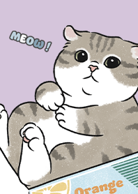 neko single14 / purple