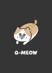 Q-meow6 / carbon