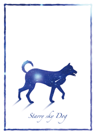 Starry sky Dog