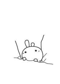 rabbit and carrot of section