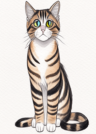 Waterco!or cat