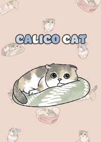 calicocat2 - sea shell