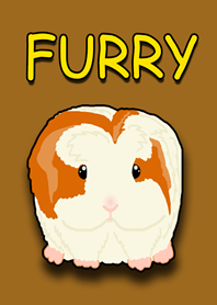 FURRY The Guinea Pig