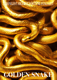 Golden Snake Lucky 72