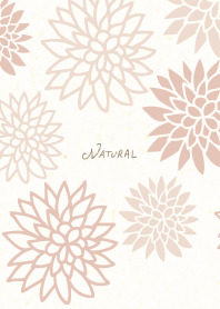 Japanese Gorgeous flowers20 from Japan