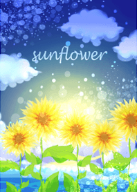 Sunflowers and summer scenery at night.