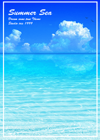 Summer Sea dolphins3