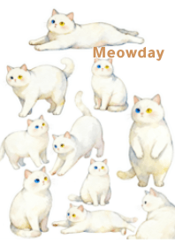 Meowday
