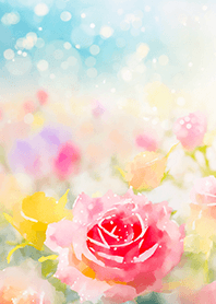 Beautiful rose flower(R5464)