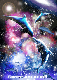 Space Dolphin 8