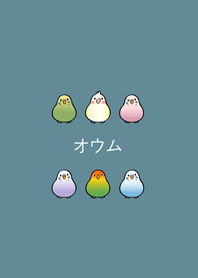 my little parrot(Green Lake)