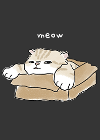 neko drawing4 / carbon black