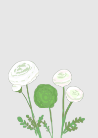 Ranunculus green