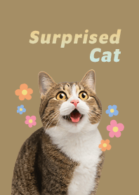 Surprised cat and cute flowers | YELLOW