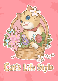 Cat's Life Style วิถีชีวิตของน้องแมว #2