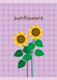 Cute sunflower on light purple