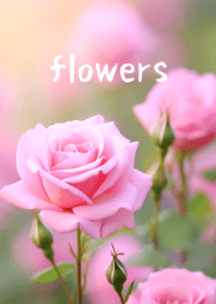 Beautiful Flower Series #8