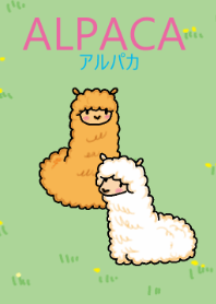 alpaca park