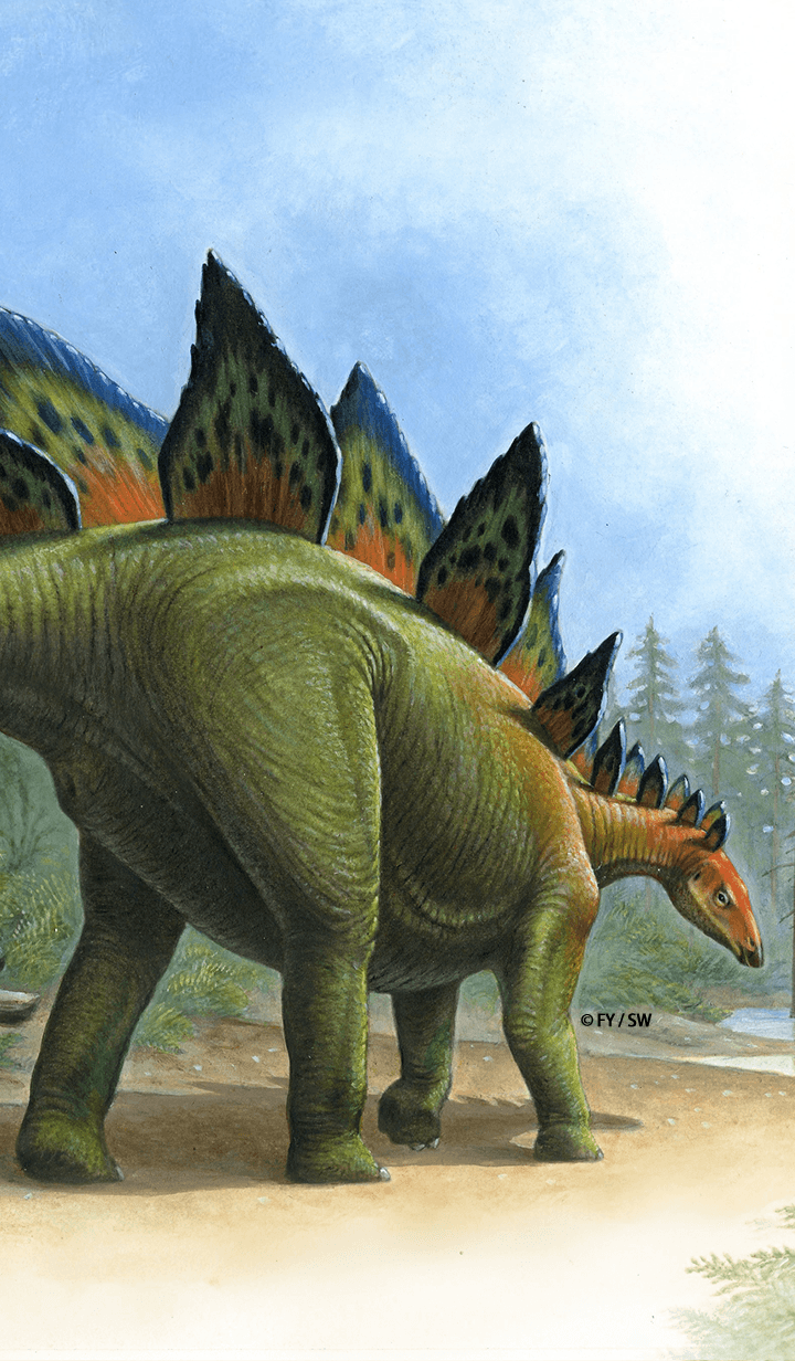 Dinosaur Thyreophora