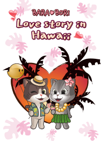 Bara & Bori Love story in Hawaii