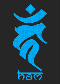 BONJI [haM] BLACK BLUE (0157