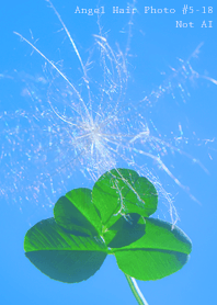 Angel Hair Photo #5-18Not AI