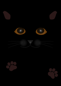 神秘的黑貓
