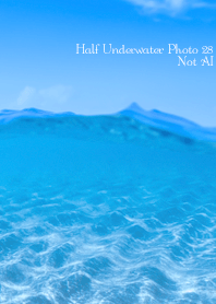 Half Underwater Photo 28 Not AI