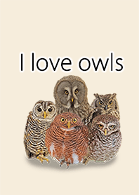 Owl love, dress up