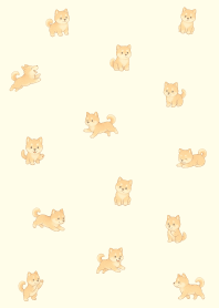 cute little Shiba Inu3