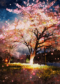 Beautiful night cherry blossoms#2501