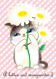 A kitten and marguerites.2,again,