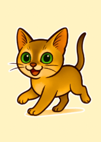小さな妖精シンガプーラ猫