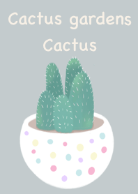 Cactus garden cactus